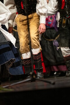 2026_obcinski_kulturni_praznik_Moma_050